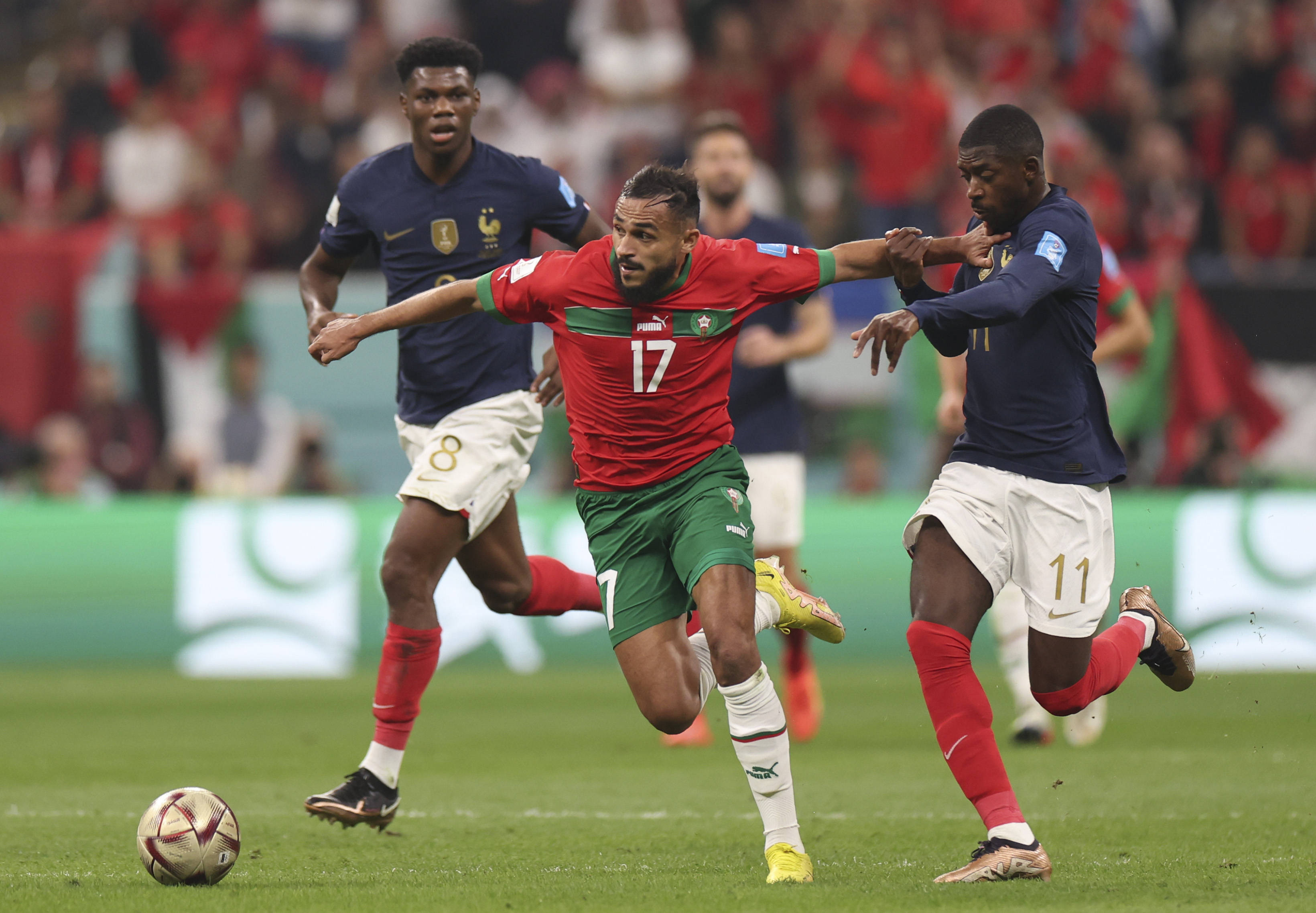 联盟的竞争 联盟的竞争