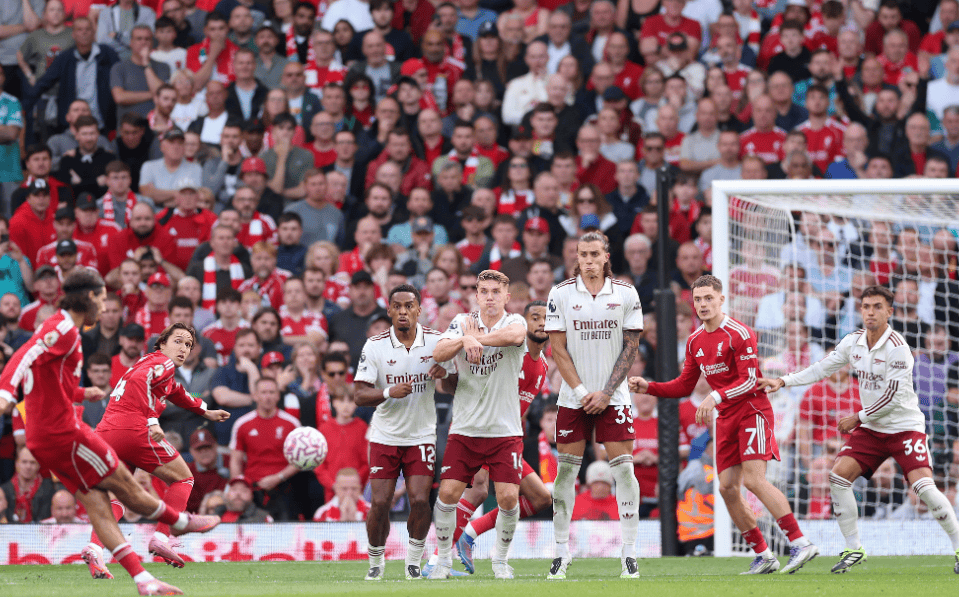 真正映照赛 真正映照赛