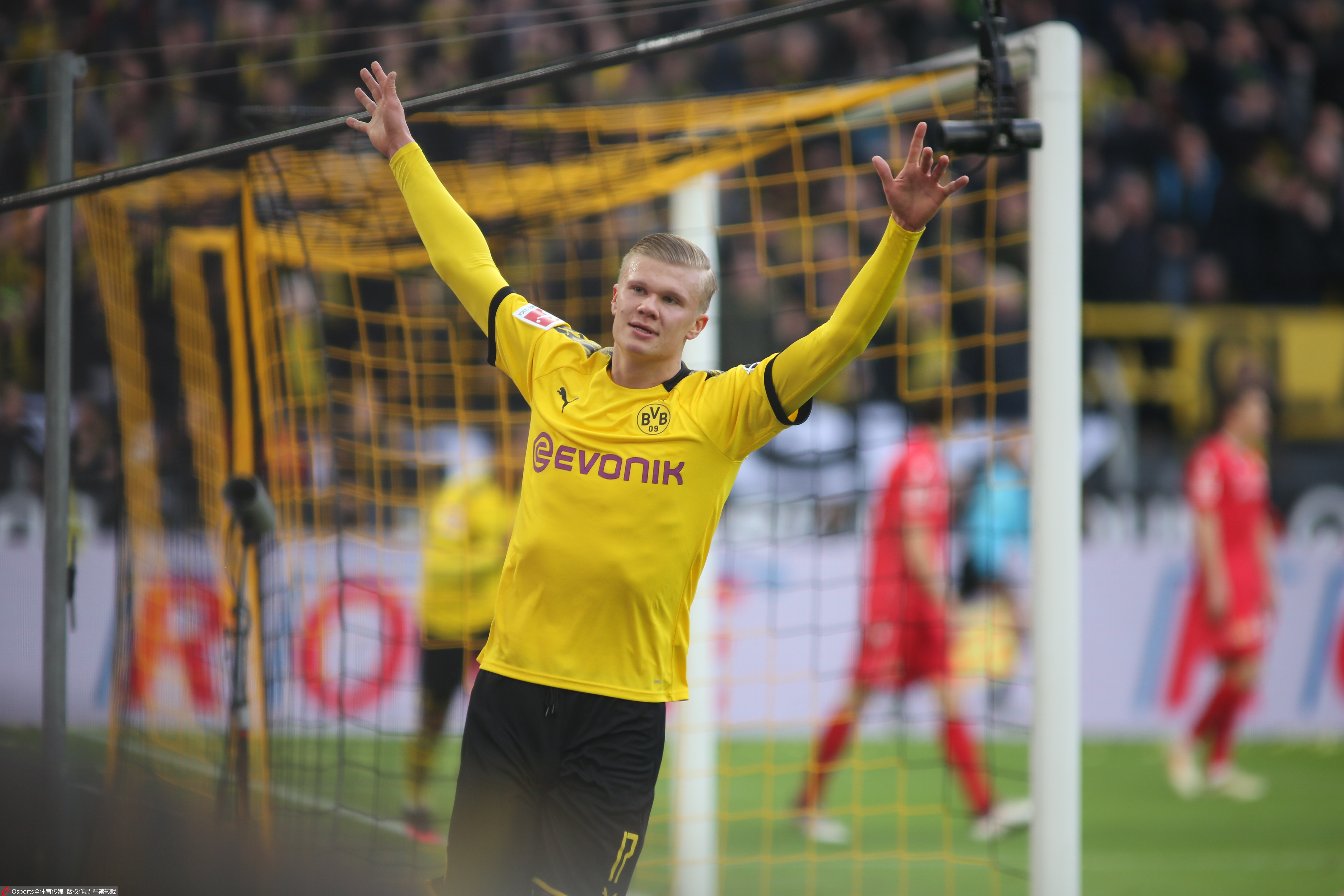 双重示范 双重示范